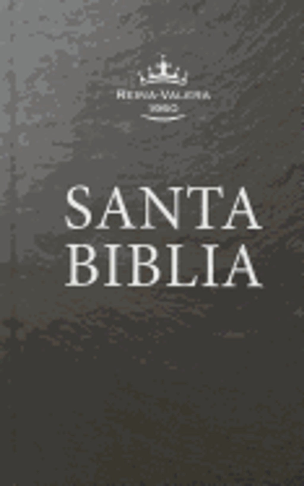 SANTA BIBLIA