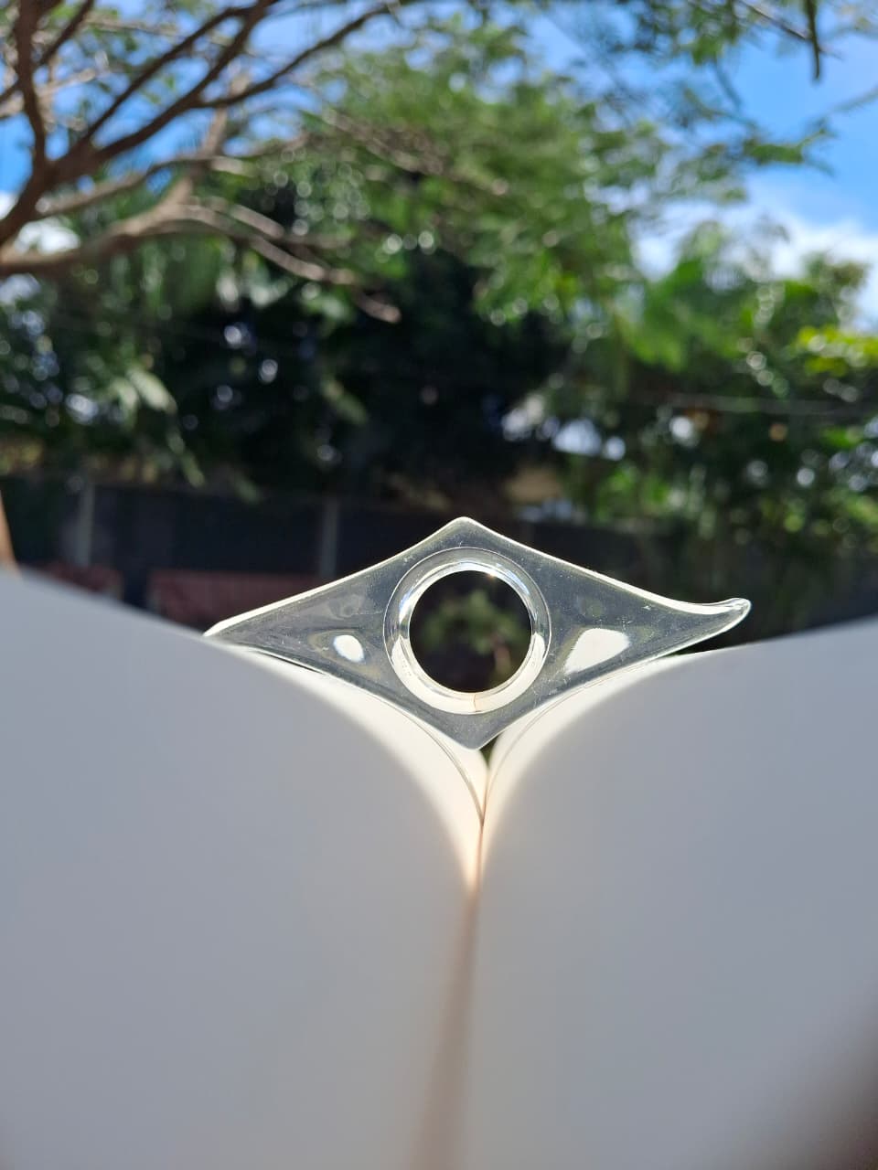 Sujetapáginas Literarios