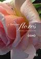 Y llovieron flores- Espiritualidad
