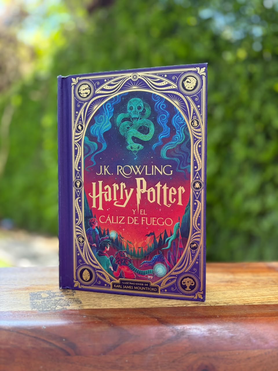 Harry Potter y el caliz de fuego-Cicatrices Literarias