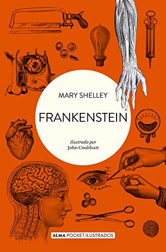 Frankenstein-Literartura