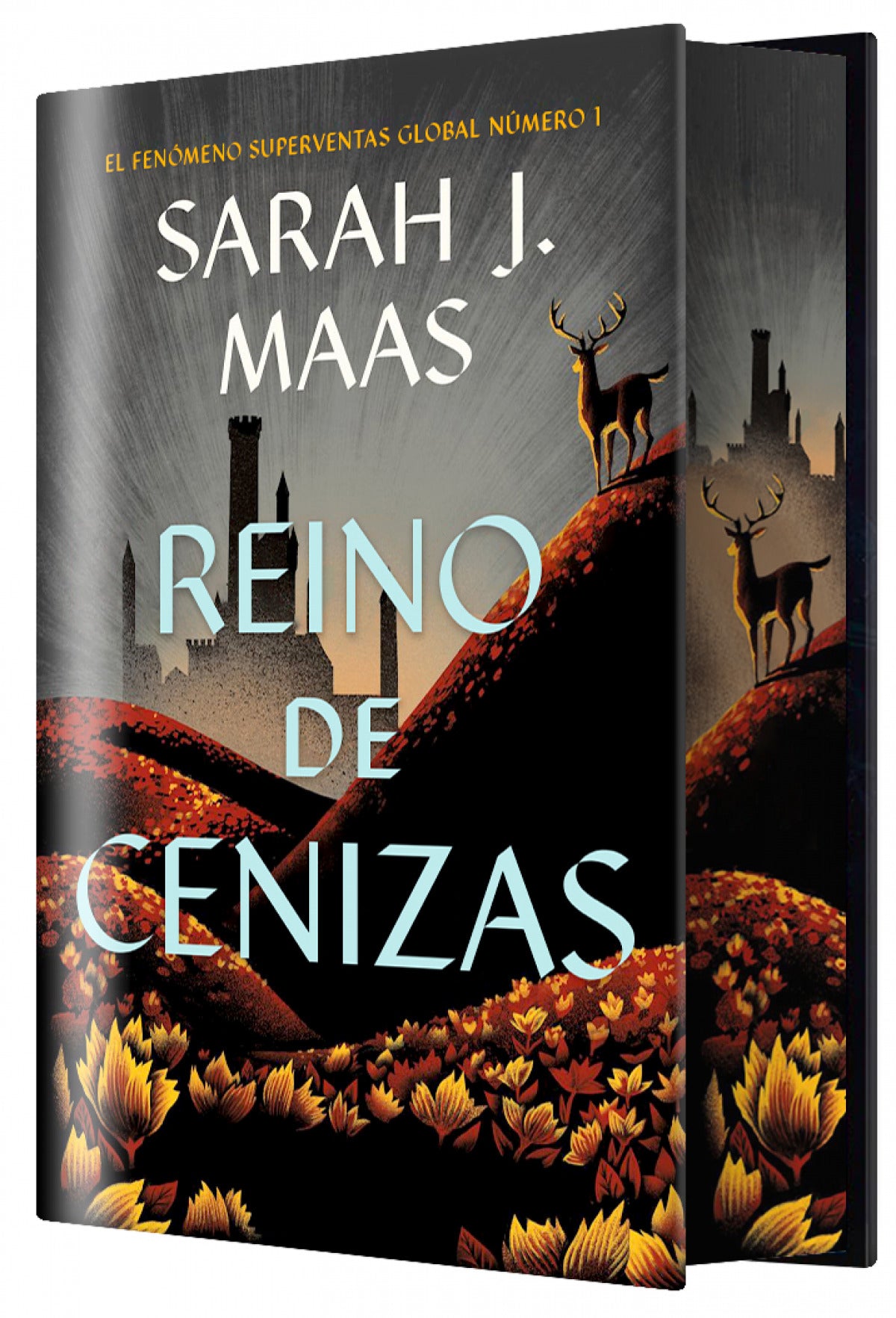 Reino de Cenizas (E.E)-Literatura