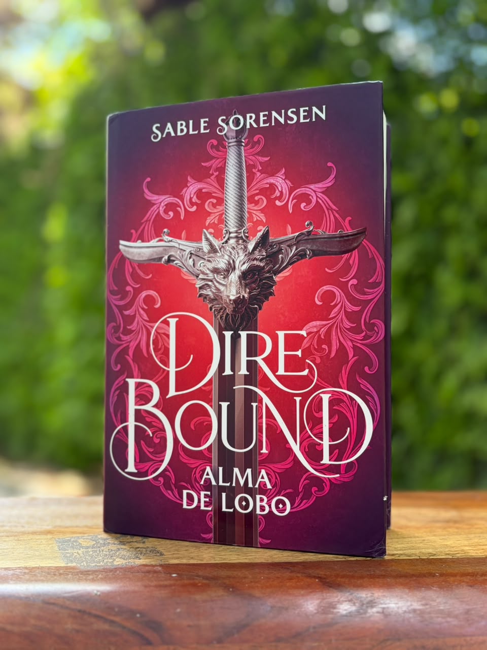 Dire Bound-Cicatrices Literarias