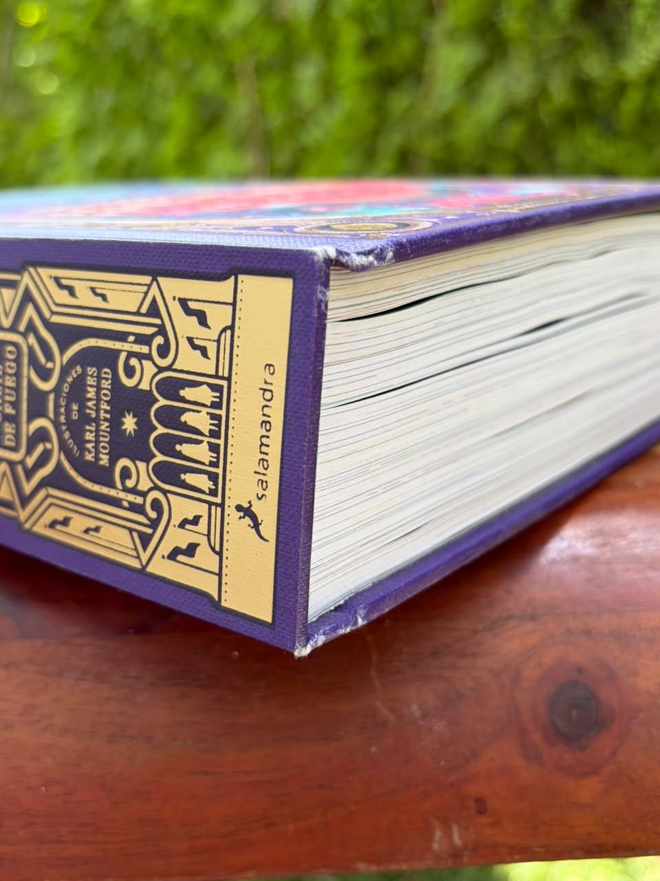 Harry Potter y el caliz de fuego-Cicatrices Literarias
