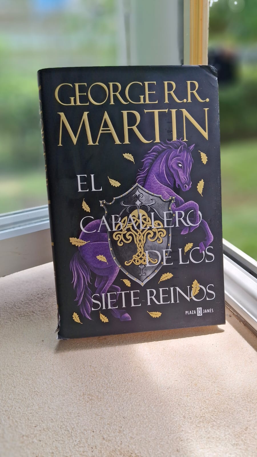 Caballero de los siete reinos, El-Cicatrices Literarias