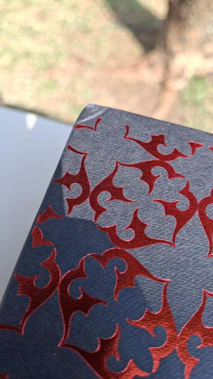 Reina de sombras 1- Cicatrices Literarias