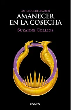 Amanecer en la cosecha- Literatura