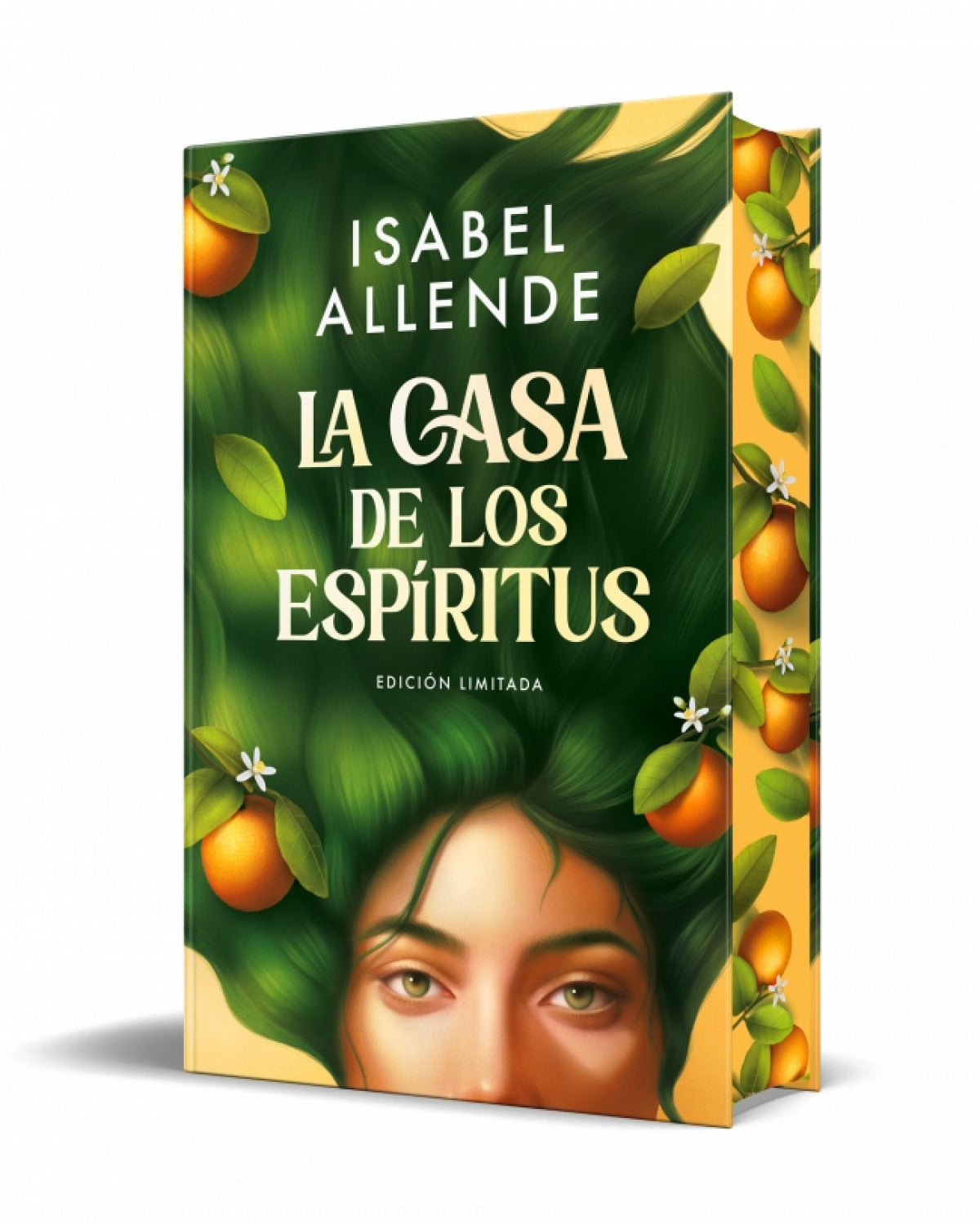Casa de los espíritus, La (debolsillo)- Literatura